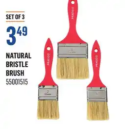 Canac Natural Bristle Brush offer