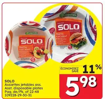Rossy Asst. disposable plates offer