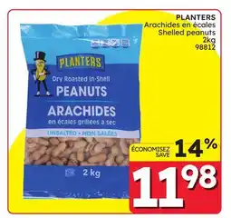Rossy Shelled peanuts offer