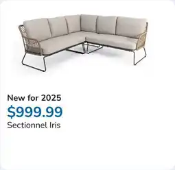 Club Piscine Sectionnel Iris offer