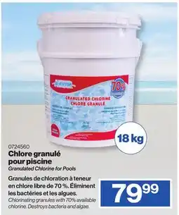 Patrick Morin Granulated Chlorine for Pools offer