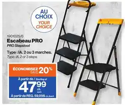Patrick Morin PRO Stepstool offer