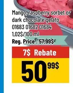 Mayrand Sorbet or gelato SAVO 5L Quebec offer