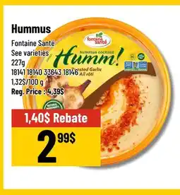 Mayrand Hummus Fontaine Santé 227g offer