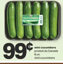 L'Intermarché MINI CUCUMBERS, 6 un offer