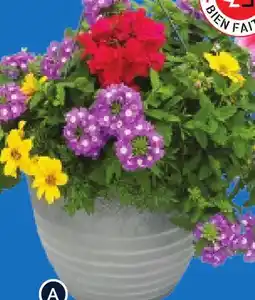 RONA A ANNUALS IN 12 HANGING BASKET offer