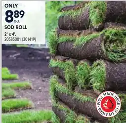 RONA SOD ROLL 2' x 4' offer