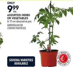RONA ASSORTED HERBS OR VEGETABLES offer