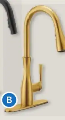 RONA ARLIA KITCHEN FAUCET offer