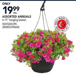 RONA ASSORTED ANNUALS offer