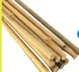 RONA Plant stakes and ties offer