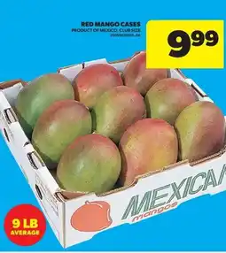 Real Canadian Superstore Red mango cases offer