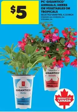 Real Canadian Superstore PC gigantico annuals, herbs or vegetables or tropicals offer
