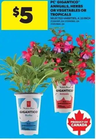 Real Canadian Superstore PC gigantico annuals, herbs or vegetables or tropicals offer