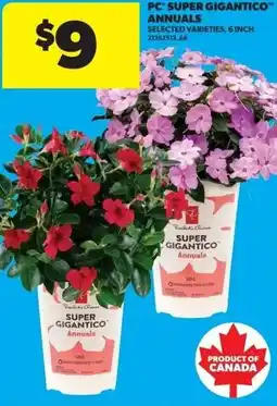 Real Canadian Superstore PC super gigantico annuals offer