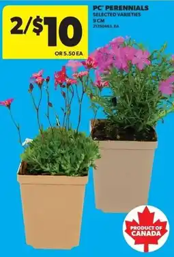 Real Canadian Superstore PC perennials offer