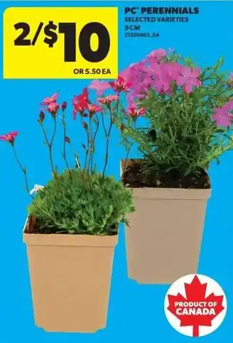 Real Canadian Superstore PC perennials offer