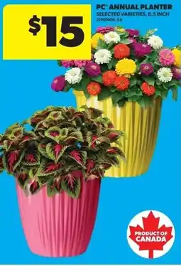 Real Canadian Superstore PC annual planter offer