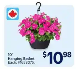 Walmart Hanging Basket offer