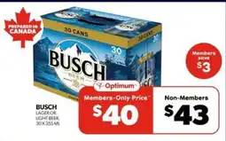 Real Canadian Liquorstore Busch Beer offer