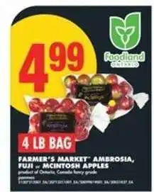 No Frills 4 LB BAG FARMER'S MARKET Apples offer