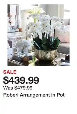 Wayfair Roberi Arrangement in Pot offer