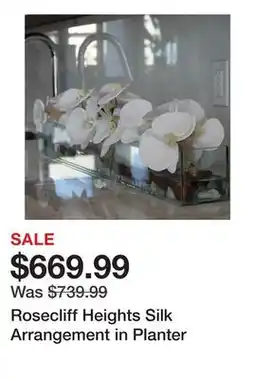 Wayfair Rosecliff Heights Silk Arrangement in Planter offer