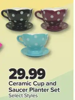 PharmaChoice Ceramic Cup and Saucer Planter Set offer