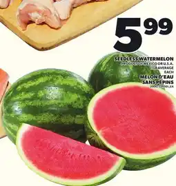 Independent City Market SEEDLESS WATERMELON, 11 LB AVERAGE offer