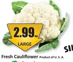 Starsky Fresh Cauliflower offer