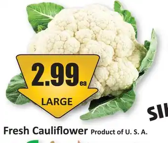 Starsky Fresh Cauliflower offer