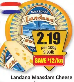 Starsky Landana Maasdam Cheese offer