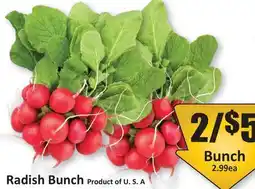 Starsky Radish Bunch offer