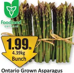 Starsky Ontario Grown Asparagus offer