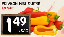 Marche Salaberry Poivron Mini Sucré offer