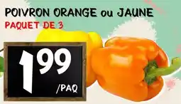 Marche Salaberry Poivron Orange ou Jaune offer