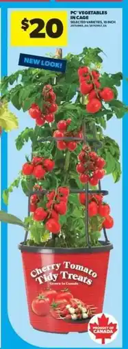 Real Canadian Superstore Cherry Tomato Tidy Treats offer