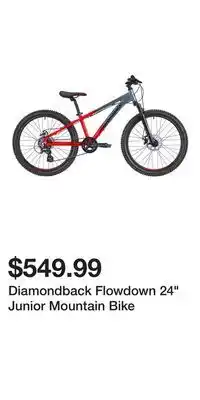 Sport Chek Diamondback Flowdown 24 Junior Mountain Bike offer