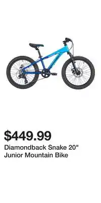 Sport Chek Diamondback Snake 20 Junior Mountain Bike offer