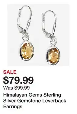 TSC Stores Himalayan Gems Sterling Silver Gemstone Leverback Earrings offer