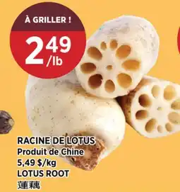 Kim Phat LOTUS ROOT offer