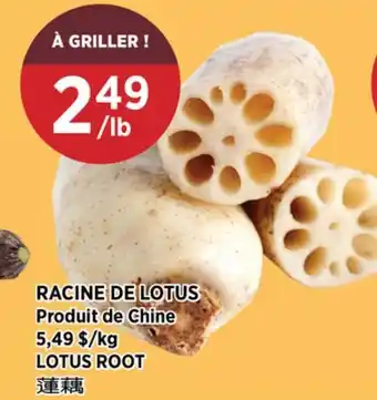 Kim Phat LOTUS ROOT offer