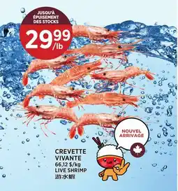 Kim Phat LIVE SHRIMP offer
