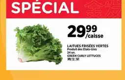 Kim Phat GREEN CURLY LETTUCES offer