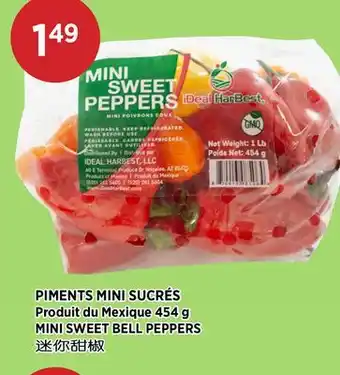 Kim Phat Ideal HarBest MINI SWEET BELL PEPPERS offer