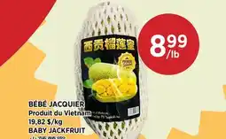 Kim Phat BABY JACKFRUIT offer