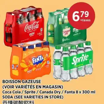 Kim Phat Coca Cola, Sprite, Canada Dry, Fanta SODA offer