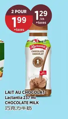 Kim Phat Lactantia CHOCOLATE MILK offer