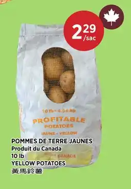 Kim Phat YELLOW POTATOES offer
