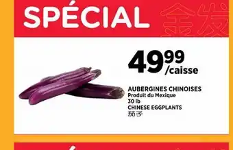 Kim Phat CHINESE EGGPLANTS offer